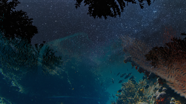 News thumbnail image